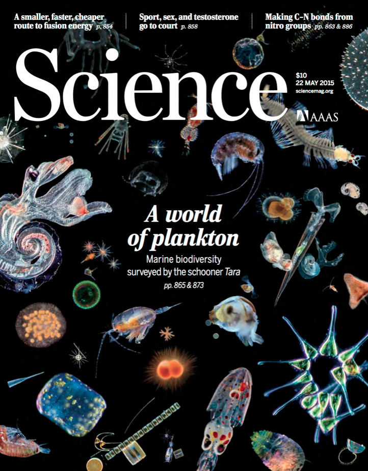 On May 22, in a special issue of Science, an international, interdisciplinary, team of scientists (including Colomban de Vargas) maps the biodiversity of a wide range of planktonic organisms, exploring their interactions – mainly parasitic, and how they impact and are affected by their environment, primarily the temperature.