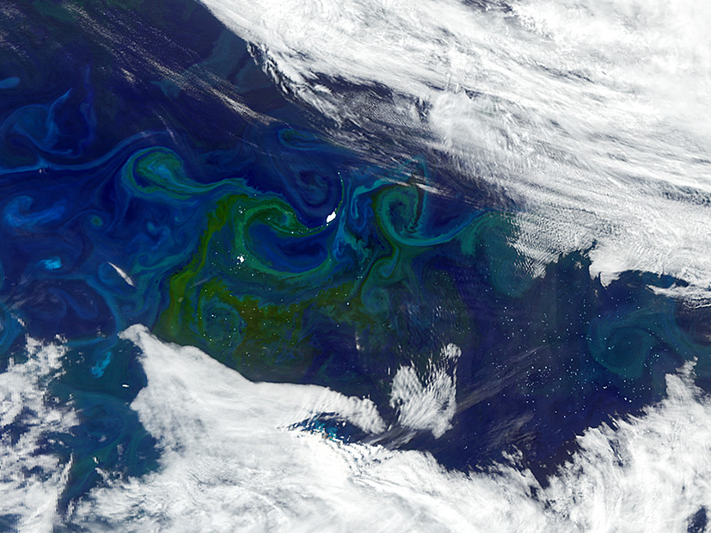 Plankton Planet - PlanktoSplace - icy_giants_swirling