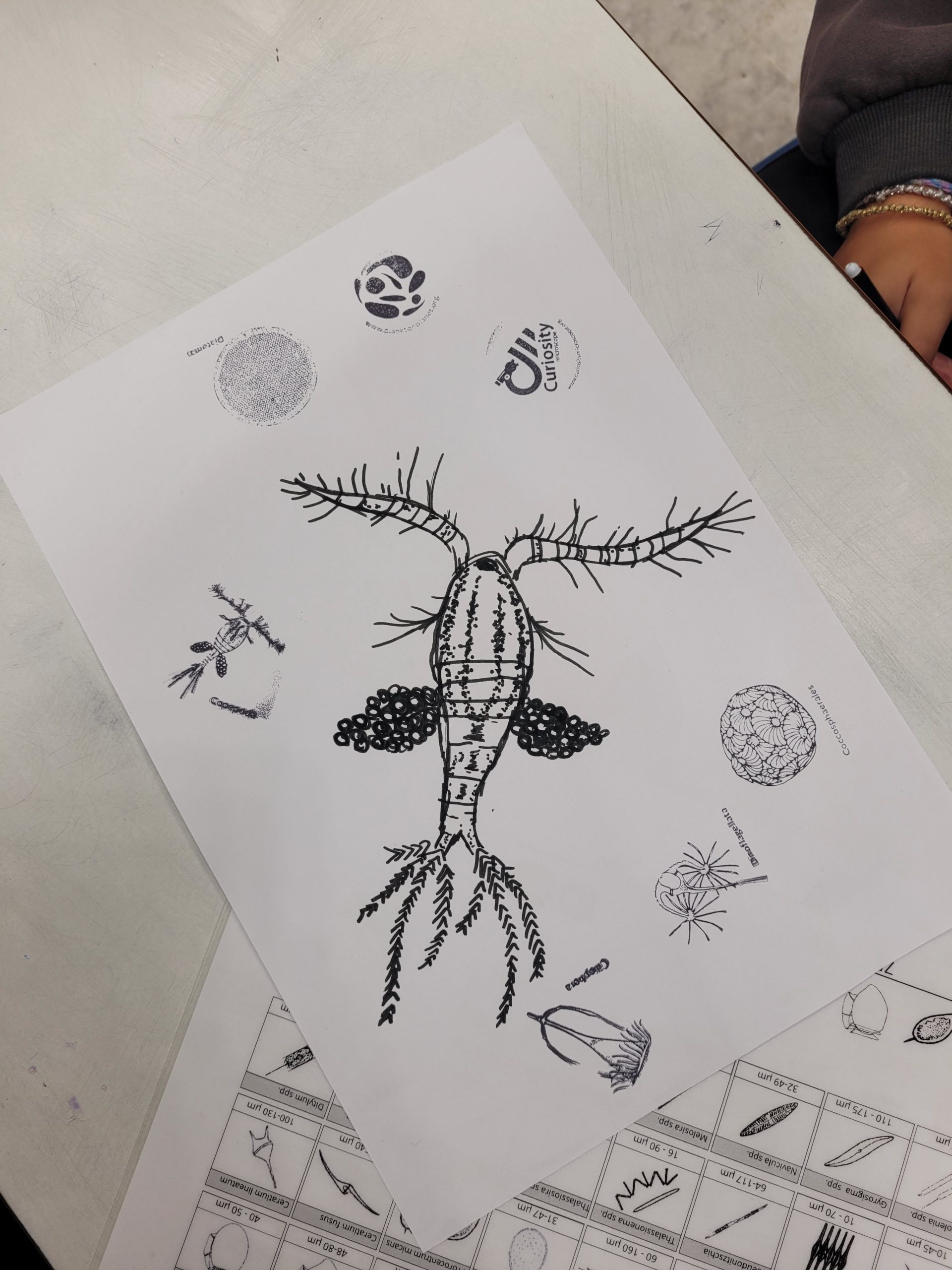 Plankton Planet - Atelier Eau vivante 1