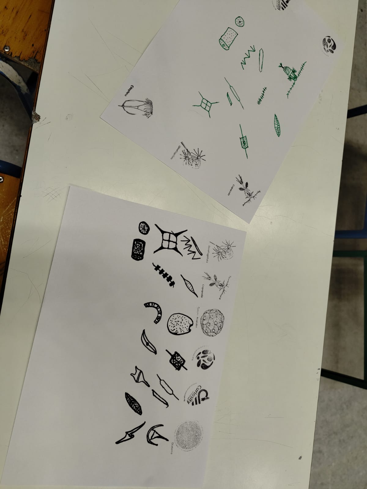 Plankton Planet - Atelier Eau vivante 2